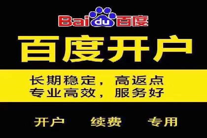 竞价托管与SEO结合的案例分析